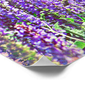 in de vallei van paars poster (Hoek)