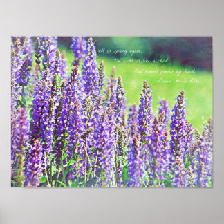 in de vallei van paars poster