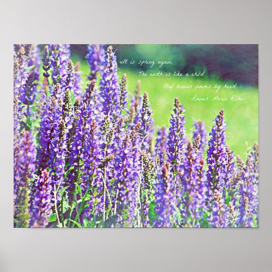 in de vallei van paars poster (Voorkant)