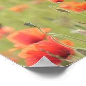 In de Vlaamse velden blazen de papavers de klap Poster (Hoek)