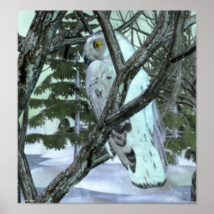 In de Wilde Snowy Owl Poster