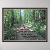 In de wildernis: citaat van Henry David Thoreau Poster (Voorkant)