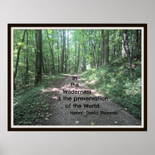 In de wildernis: citaat van Henry David Thoreau Poster (Voorkant)