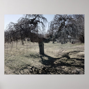 In de wind staan poster