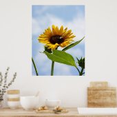 In de wolken poster (Keuken)