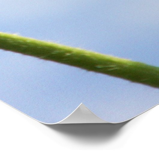 In de wolken poster (Hoek)