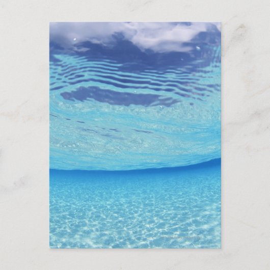 In de zee briefkaart (Voorkant)