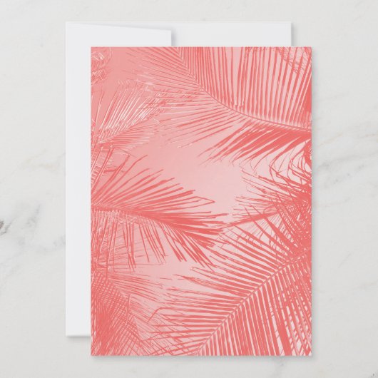 In de zomer werd ik zeventien jaar onder water kaart (Achterkant)