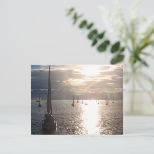 In de zon briefkaart (Staand voorkant)