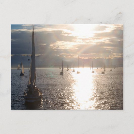 In de zon briefkaart (Voorkant)