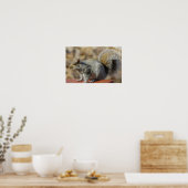 In de zon poster (Keuken)