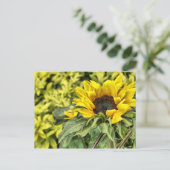 In de zon starend... briefkaart (Staand voorkant)