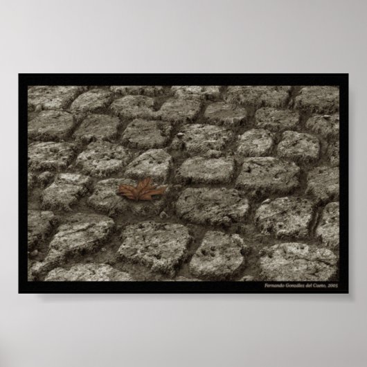 In-der-welt-sein Poster (Voorkant)