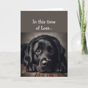 In deze tijd van verlies, Schrift Comfort Sad Dog Kaart