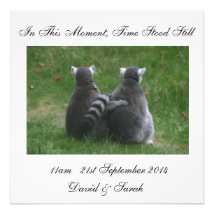 In dit moment stond de tijd stil - Lemur Liefde Foto Afdruk