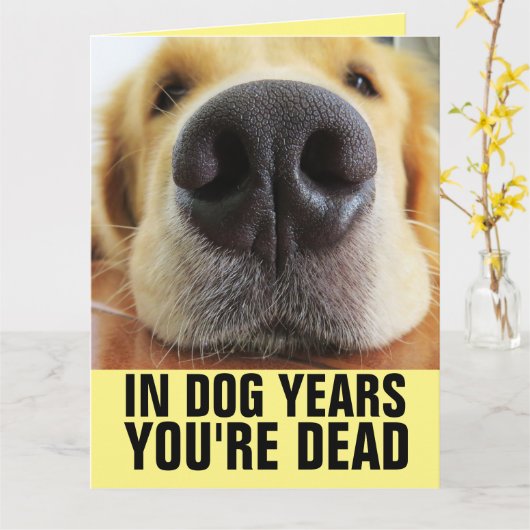 IN DOG JAREN BEN JE DODE FUNNY BIG BIRTHDAY KAART (Gele Bloem)