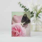 in doll blanket Kitten Briefkaart (Staand voorkant)