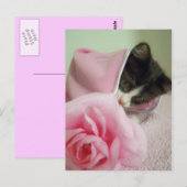 in doll blanket Kitten Briefkaart (Voorkant / Achterkant)
