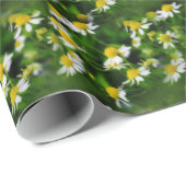 In een droomveld van Chamomile Cadeaupapier (Rol Hoek)