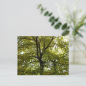In een gele esdoorn herfst briefkaart (Staand voorkant)