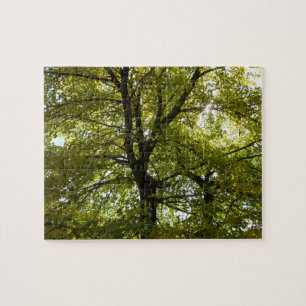 In een gele esdoorn herfst legpuzzel
