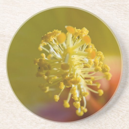 In een gele Hawaiian Hibiscus Zandsteen Onderzetter (Voorkant)