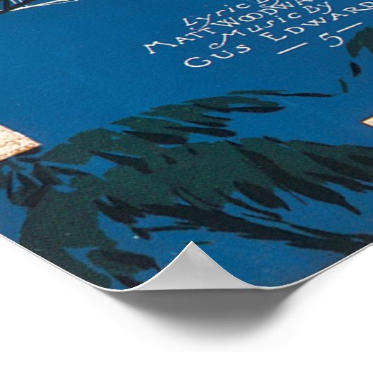 In een  Hoesje van het vliegtuig Poster (Hoek)