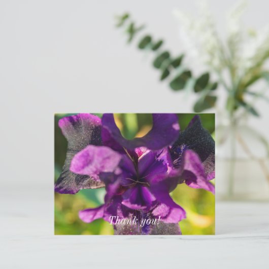 In een Iris Dank je Postkaart (Staand voorkant)