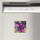 In een Iris Magneet (Insitu (Vaatwasser))