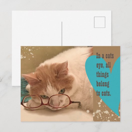 In een kattenoog briefkaart (Voorkant / Achterkant)