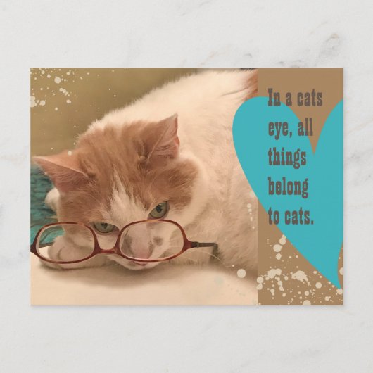 In een kattenoog Funny Cat Briefkaart (Voorkant)