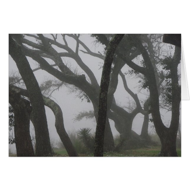 In een mist (Voorkant Horizontaal)