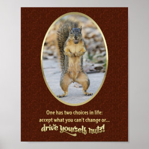 In een notedop het Gebed van de sereniteit Poster