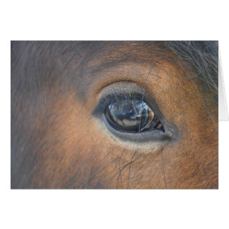 in een paardenoog