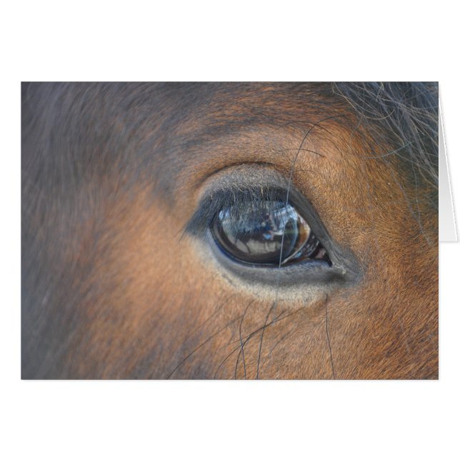 in een paardenoog (Voorkant Horizontaal)