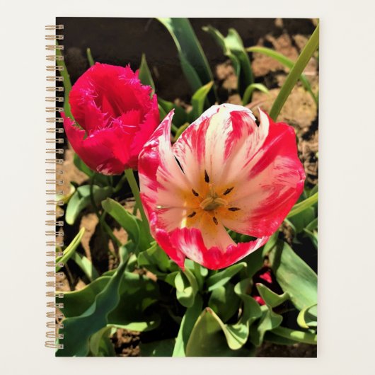 In een roze en witte Tulip Planner (Voorkant)