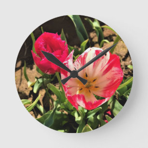In een roze en witte Tulip Ronde Klok