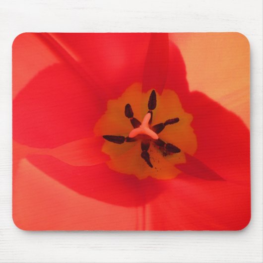 In een tulp muismat (Voorkant)
