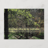 In eenzaamheid... briefkaart (Voorkant)