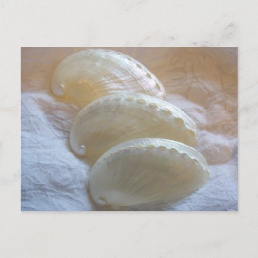 In elke fijne draai briefkaart (Voorkant)