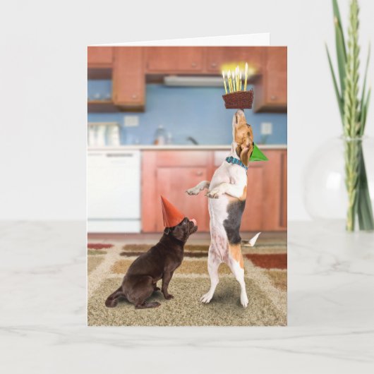 In evenwicht brengende Cake Kaart (Voorkant)