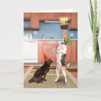 In evenwicht brengende Cake Kaart