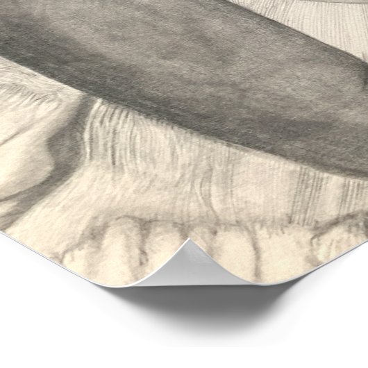 in evenwicht poster (Hoek)