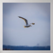 In Flight Poster (Voorkant)