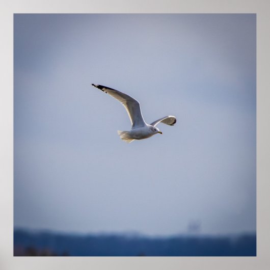 In Flight Poster (Voorkant)