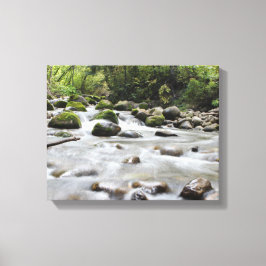 In Forest Stream verpakt canvas Afdruk