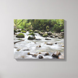 In Forest Stream verpakt canvas Afdruk
