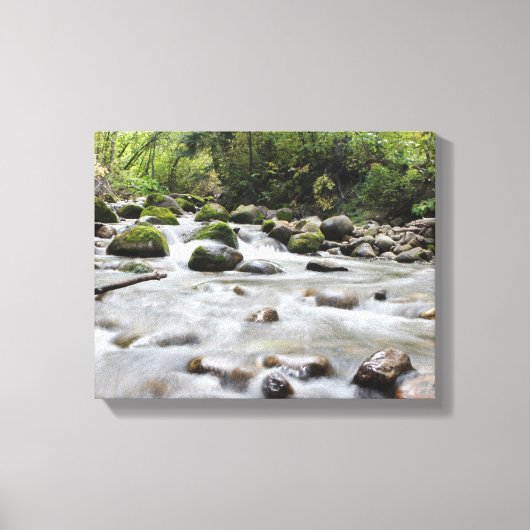 In Forest Stream verpakt canvas Afdruk (Voorkant)