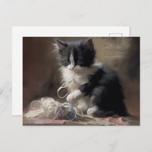 In Fun Black en White Kitten Briefkaart (Voorkant / Achterkant)