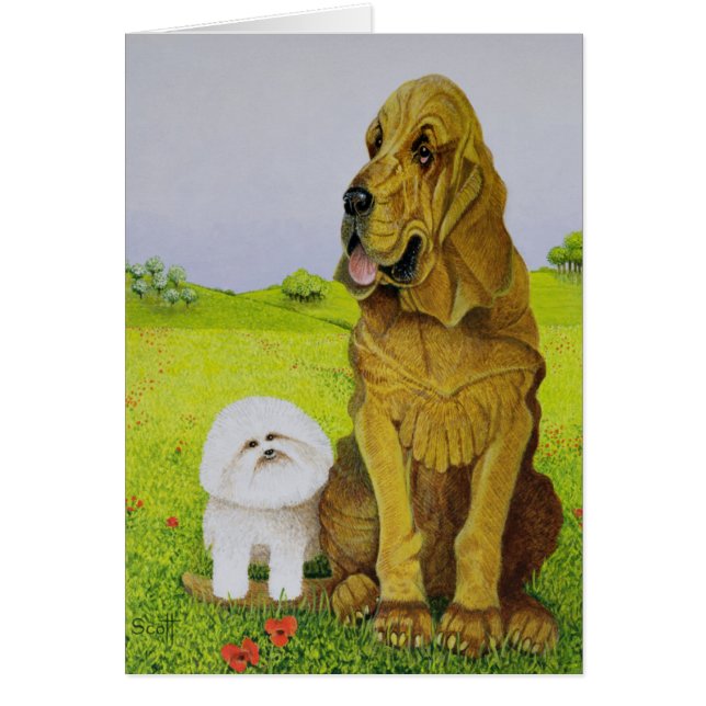 In functie (Voorkant)